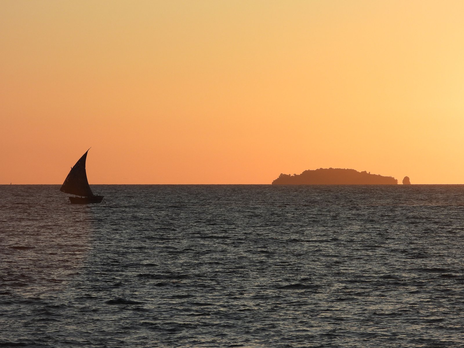 Lemurs of Madagascar